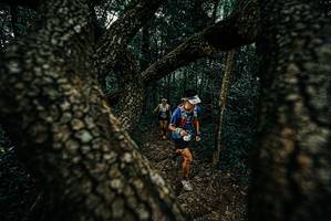 BIB: 
                            <button type="button" onclick="openModal(25684670)" class="btn btn-primary btn-sm float-right btn-popup" data-toggle="modal" data-target=".modal-high-quality">
                        <i class="fas fa-shopping-cart"></i> Add to Cart
                    </button>
                                            <button type="button" onclick="isThisMe(25684670, true)" class="btn btn-success btn-sm float-right btn-popup btn-isme hidden" data-toggle="tooltip" data-placement="bottom" title="นี่คือรูปของคุณใช่ไหม คลิกที่นี่เพื่อเอาเข้าอัลบั้ม">
                        <i class="fas fa-plus"></i> Add to album
                    </button>
                    <button type="button" onclick="isThisMe(25684670, false)" class="btn btn-warning btn-sm float-right btn-popup btn-isnotme hidden">
                        <i class="fas fa-ban"></i> Remove from album
                    </button>